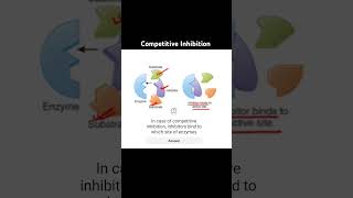 Competitive inhibition biology science neet education enzymes apbiology [upl. by Hube]