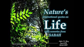 Nature amp Life  with inspirational quotes and sceneries from Sabah [upl. by Baudoin]