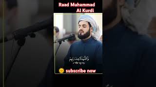 Raad Muhammad Al Kurdi Emotional moment Beautiful Quran Recitation shorts [upl. by Aronek836]