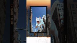 Screaming Cat get Scared nyc cat comedy funny screaming cats newyork dudja lol memes meme [upl. by Thilda]