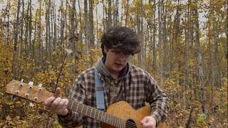 problems  pinegrove cover [upl. by Aphra]