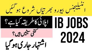 IB Jobs 2024IB Jobs Online Apply 2024 [upl. by Eadith]