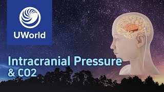 Intracranial Pressure in Mechanical Ventilation  USMLE UWorld Questions USMLE Step 1 MBBS PLAB [upl. by Solracsiul316]