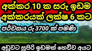 අක්කරයක් රු ලක්ෂ 6 කට  Land for sale in sri lanka  Aduwata idam  Agriculture land  Idam sale [upl. by Saunderson]