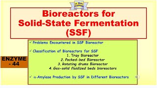 Bioreactors for SolidState Fermentation SSF  Alpha amylase production in Bioreactor  Enzyme 45 [upl. by Skipper]