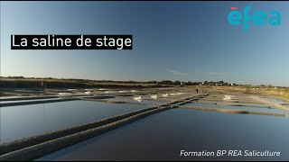 FORMATION BP REA Saliculture la saline de stage [upl. by Jemina]