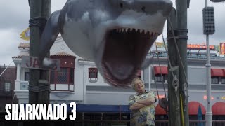 The Ballad of Sharknado  Quint [upl. by Aniala]