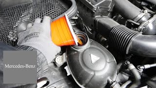 How to Check and Add Engine Coolant in Mercedes Benz C300 W205 W206 and E300 W213 [upl. by Ssilem]