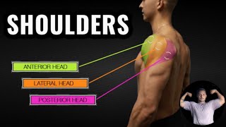 Best shoulder workout 👊💪  Viral shoulder ki subsa tagdi exercise hindiurdu [upl. by Aremahs]