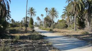 Monastir Hotel Sentido Rosa Beach and around [upl. by Eidod]