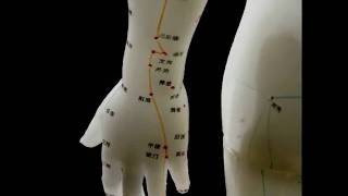 Meridian Points in Acupuncture [upl. by Sredna]