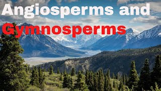 Difference between angiosperm and gymnosperm plants [upl. by Niar189]