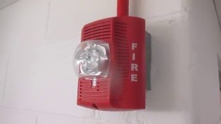 University System Sensor SPSR SpectrAlert Advance Speaker Strobe Fire Alarm [upl. by Nirb]