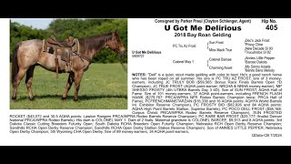 Pitzer Ranch Fall Sale 2024 Lot 405 U GOT ME DELIRIOUS [upl. by Soirtimid]