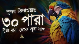 Juz 30 Juz Amma Full  সুন্দর কণ্ঠে সূরা নাবা থেকে সূরা নাস তিলাওয়াত । Beautiful Quran Recitation [upl. by Moishe92]