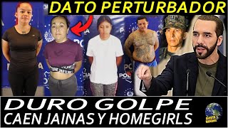 BUKELE NO AMAGA CAEN JAINAS Y HOMEGIRLS│REVELAN DATO PERTURBADOR [upl. by Eenrahc]