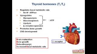 Signaling pathway for steroid hormones thyroid hormones T3 T4 [upl. by Notsniw]