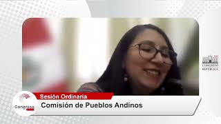 📣CongresoTVDigital  Comisión de Pueblos Andinos  14112023 [upl. by Leahsim]