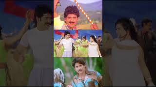 NagarjunaHitSongs  Arere Dhadapetti Song  Arey Eelakotti Song  Andagadu Muttukunte Song Shorts [upl. by Sheela]