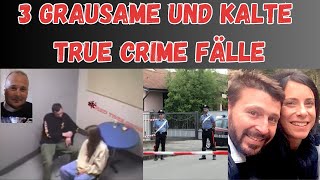 3 Grausame und kalte True Crime Fälle  TRUE CRIME DEUTSCH [upl. by Melise]