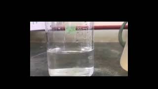 Preparation of Chitosan Beads microbiologylab microbiology research biology [upl. by Ney]