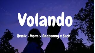 Volandoremixmora x Badbunny x sech Audio [upl. by Hnahc674]