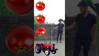 Rounding tomato to Alto Rollar Jcb amp Tractor  Vehicles names magic video [upl. by Fleurette916]