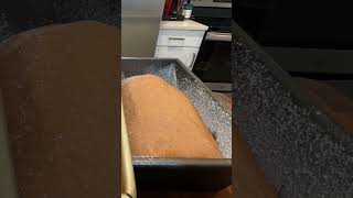 Pumpernickel Bread Proofing [upl. by Fridlund468]