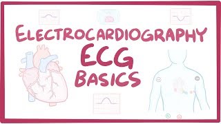 Electrocardiography ECGEKG  basics [upl. by Elleunamme]