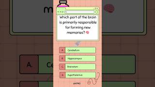 🧠 Can You Guess Which Brain Part Stores Your Memories mededtrivia brainteasers brainfacts quiz [upl. by Aivirt]