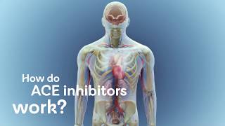 How do ACE inhibitors work [upl. by Nojed]