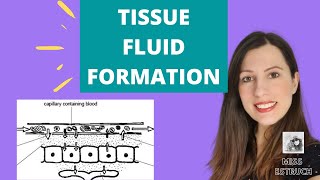 Function and Formation of TISSUE FLUID A level Biology How it is formed and reabsorbed [upl. by Fern]