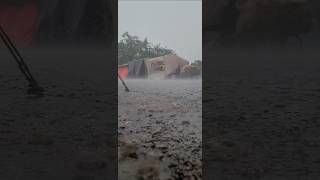 Torrential Downpour Siem Reap Faces Heavy Rain Today [upl. by Reimer]