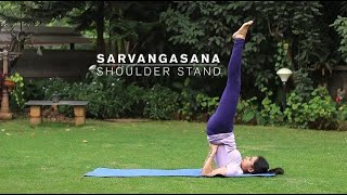 How to do Sarvangasana  Shoulder Stand Yoga Pose [upl. by Sualk734]