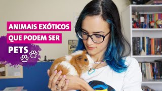 7 ANIMAIS EXÓTICOS QUE PODEM SER PETS [upl. by Meara]