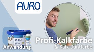 AURO Anwendung Kalkfarben und KalkBuntfarben [upl. by Ahsii445]