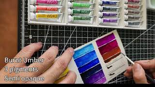 Swatch Holbein Botanical Art Watercolors set of 24 [upl. by Hiett]