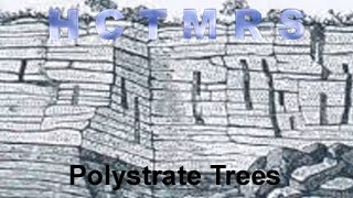 How Creationism Taught Me Real Science 04 Polystrate Trees [upl. by Pachton142]