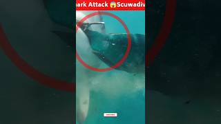 Sharkattackscrewdriverhand😱damageviralvideo ytshorts tranding [upl. by Bez]