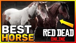 The BEST Horse In Red Dead Online the Criollo Red Dead Online Frontier Pursuits Update [upl. by Ahsitniuq]