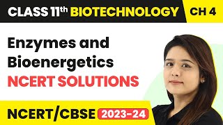 Enzymes and Bioenergetics  NCERT Solutions  Class 11 Biotechnology Chapter 4  CBSE 202425 [upl. by Kalman692]