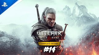 Un sorceleur en vadrouille à Velen  The Witcher 3 Wild Hunt PS5FR [upl. by Juna436]