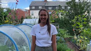 The best allotment in Sheffield 2022 [upl. by Onfroi]