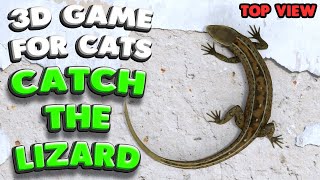 3D game for cats  CATCH THE LIZARD top view  4K 60 fps stereo sound [upl. by Nair]