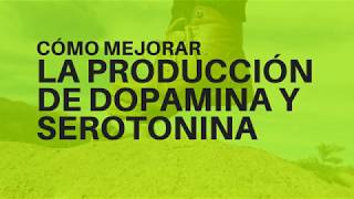 Mejora Tu Estado de Ánimo Como mejorar la producción de dopamina y serotonina [upl. by Betthezul]