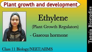 Plant Growth Regulators  Ethylene  Ripening hormone  Plant growth and development  NEETAIIMS [upl. by Kerman]