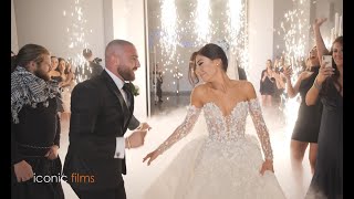 INCREDIBLE Lebanese Wedding Entry [upl. by Hersch]