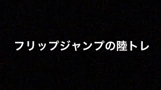 フリップジャンプの陸上トレーニング [upl. by Emmanuel]