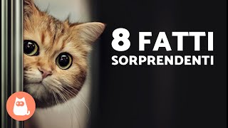 8 FATTI SORPRENDENTI sui GATTI MASCHI 🐱♂️ [upl. by Herculie]