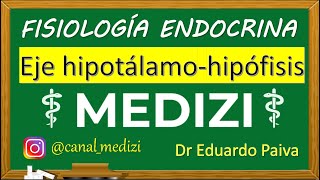 Fisiología Endocrina  Eje Hipotálamo Hipófisis hipotálamohipofisario IGdoctorpaiva [upl. by Ennayk]